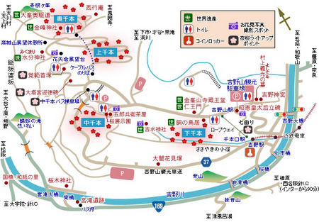 map_sakura.jpg